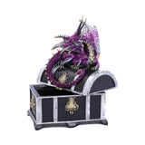 Reptilian Riches Dragon Treasure Chest Box