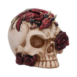 Rose Flame Skull With Sleeping Dragon