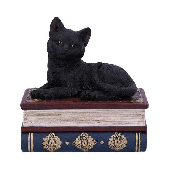 Salem's Spells Black Cat Trinket Box