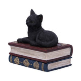 Salem's Spells Black Cat Trinket Box