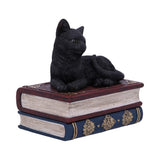 Salem's Spells Black Cat Trinket Box
