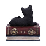 Salem's Spells Black Cat Trinket Box