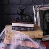 Salem's Spells Black Cat Trinket Box