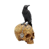 Salems Familiar - Raven On Skull Box
