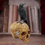 Salems Familiar - Raven On Skull Box