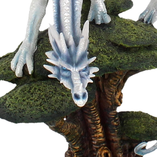 Close-up of white icy dragon claws and head