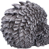 Scaled Remains Skull Figurine
