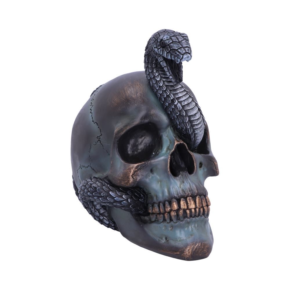 Serpentine Fate Snake Skull