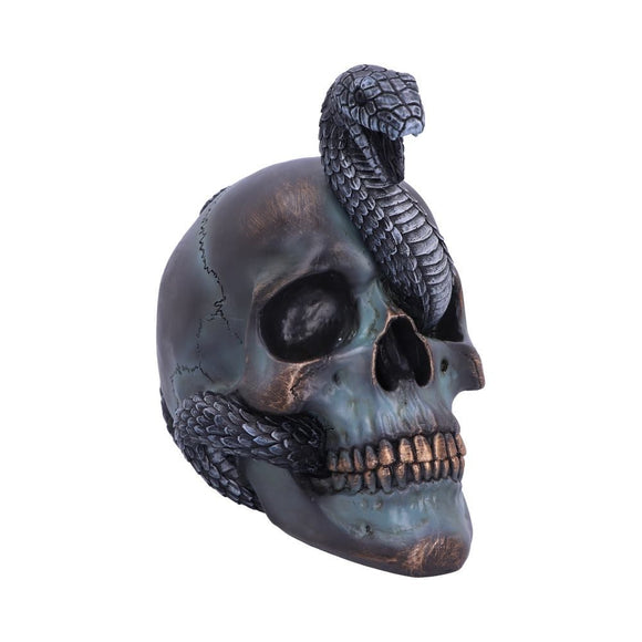 Serpentine Fate Snake Skull