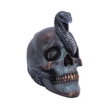 Serpentine Fate Snake Skull