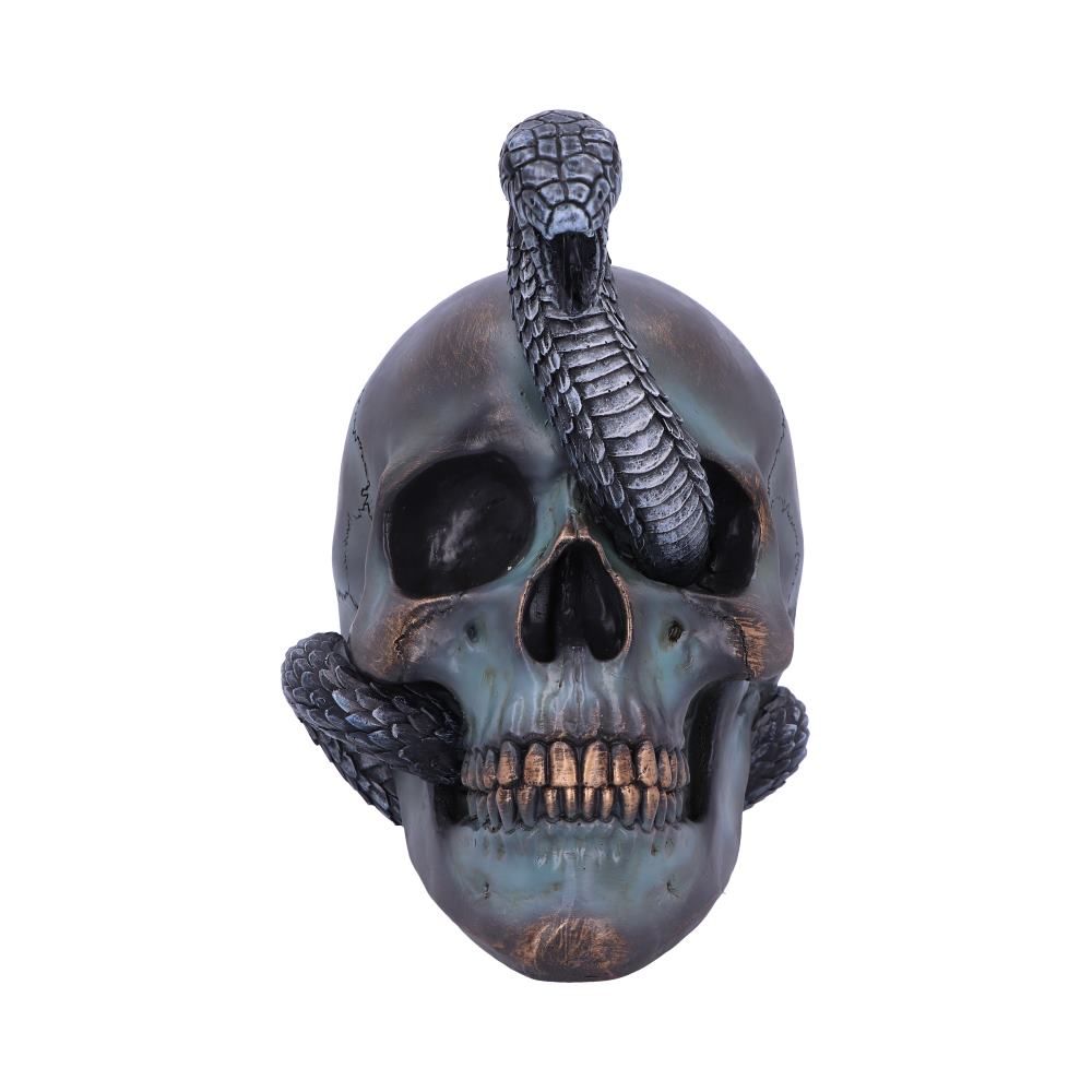 Serpentine Fate Snake Skull