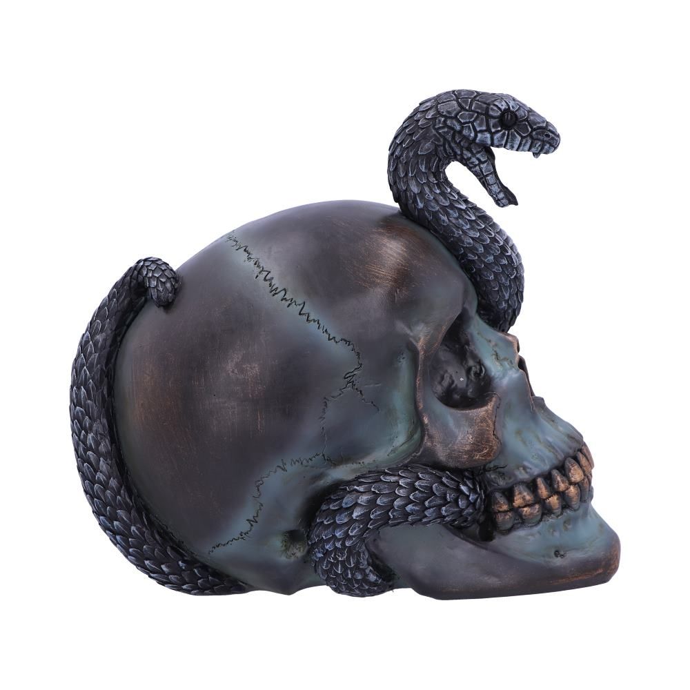 Serpentine Fate Snake Skull