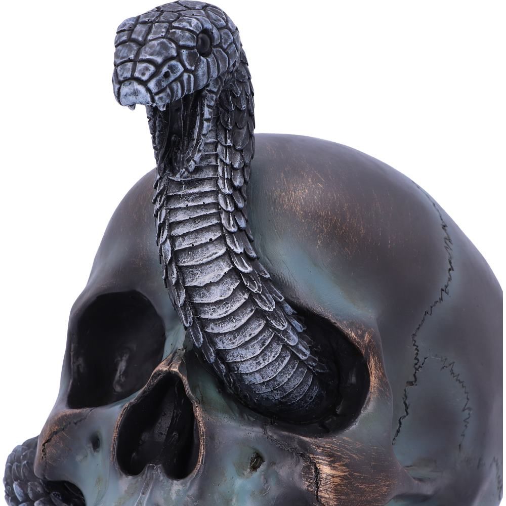 Serpentine Fate Snake Skull