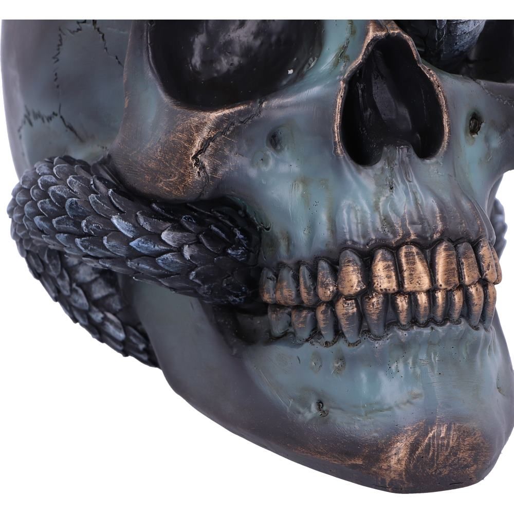 Serpentine Fate Snake Skull