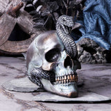 Serpentine Fate Snake Skull