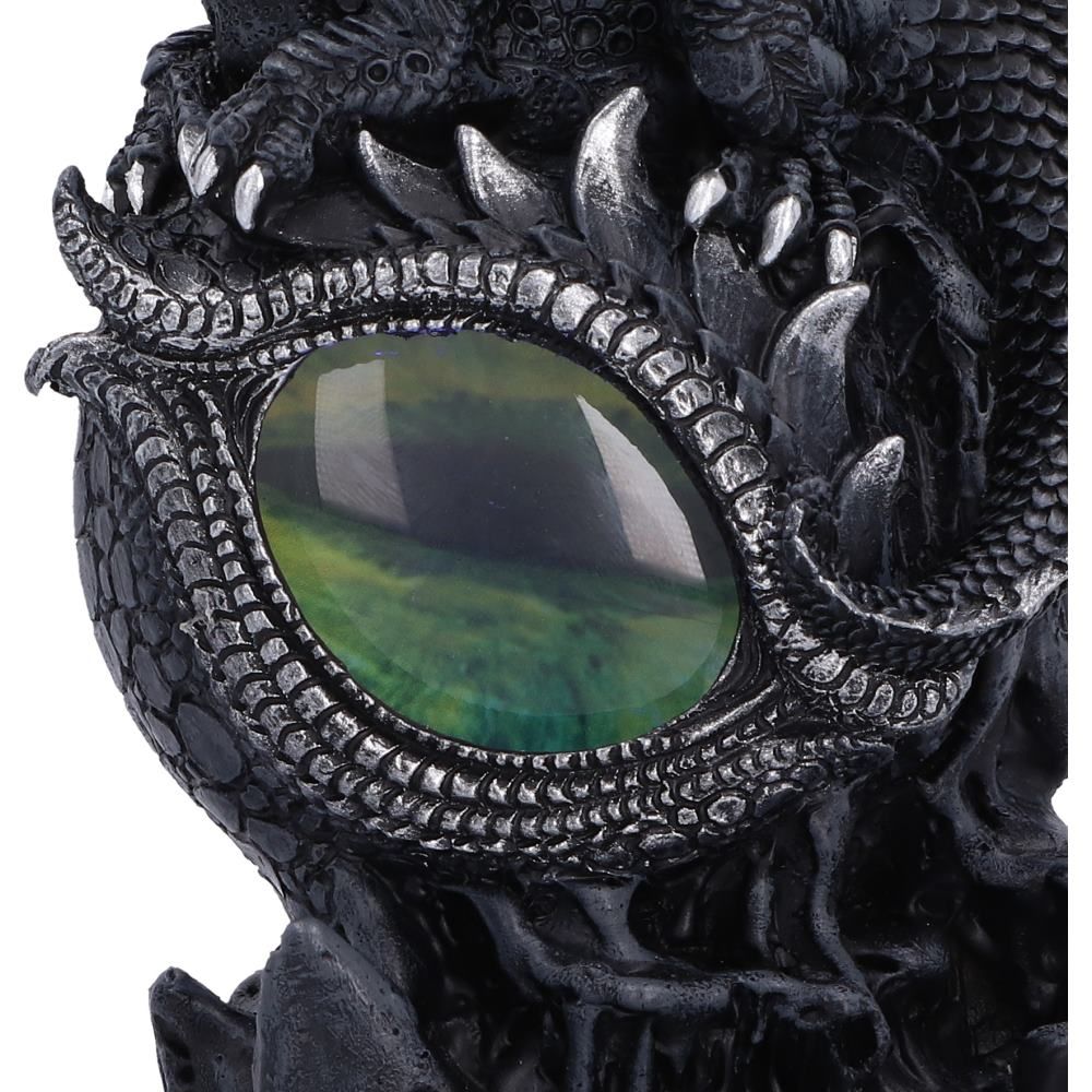 Shadow Sentinel green dragon eye detail