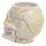 Skull Mug