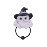 Snowy Magic Owl Door Knocker
