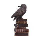 Spellcraft Owl on Book Figurine