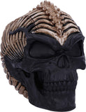 Spine Head Skull Ornament