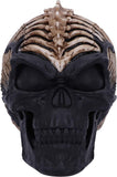 Spine Head Skull Ornament