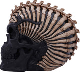 Spine Head Skull Ornament