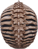 Spine Head Skull Ornament