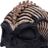 Spine Head Skull Ornament