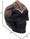 Spine Head Skull Ornament