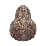 T-Rex Dinosaur Head Trinket Dish
