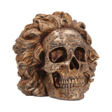 The Theory of Relativity Einstein Skull