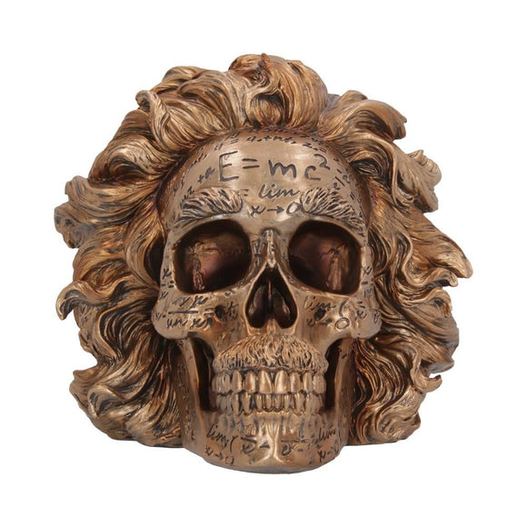 The Theory of Relativity Einstein Skull