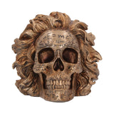 The Theory of Relativity Einstein Skull