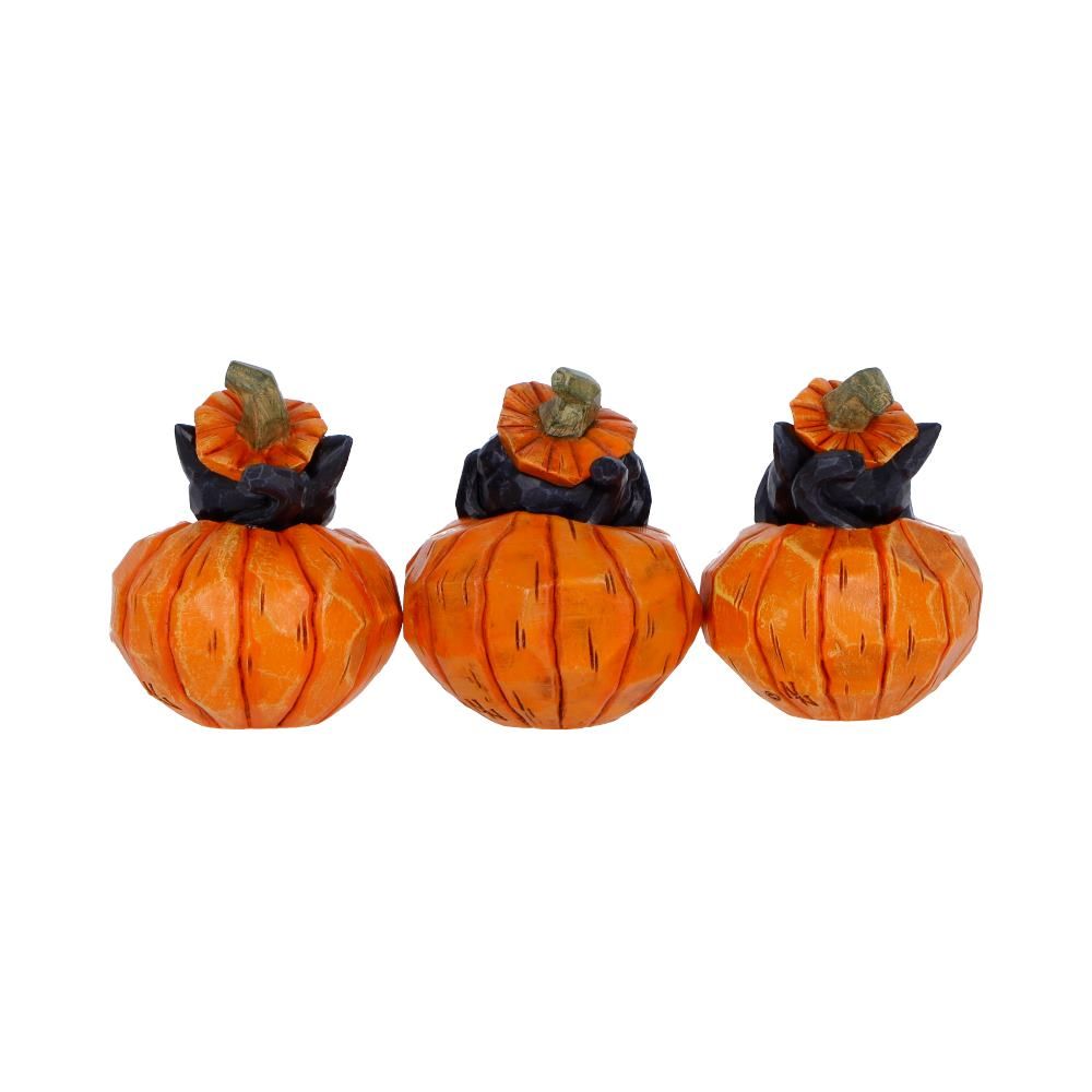 Three Wise Halloween Pumpkin Patch Cats