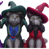 Three Wise Witchy Kittys Ornament
