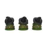 Three Wise Frogs