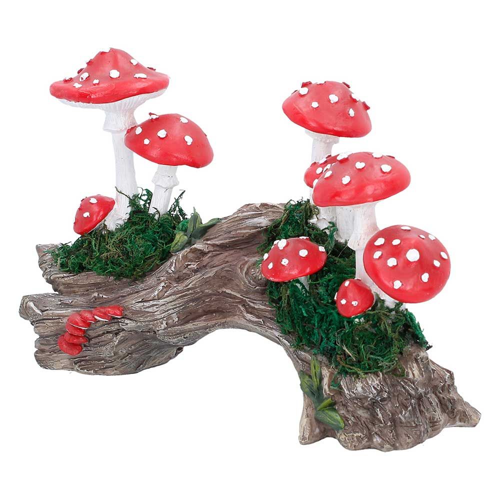 Toadstool Trunk