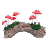 Toadstool Trunk