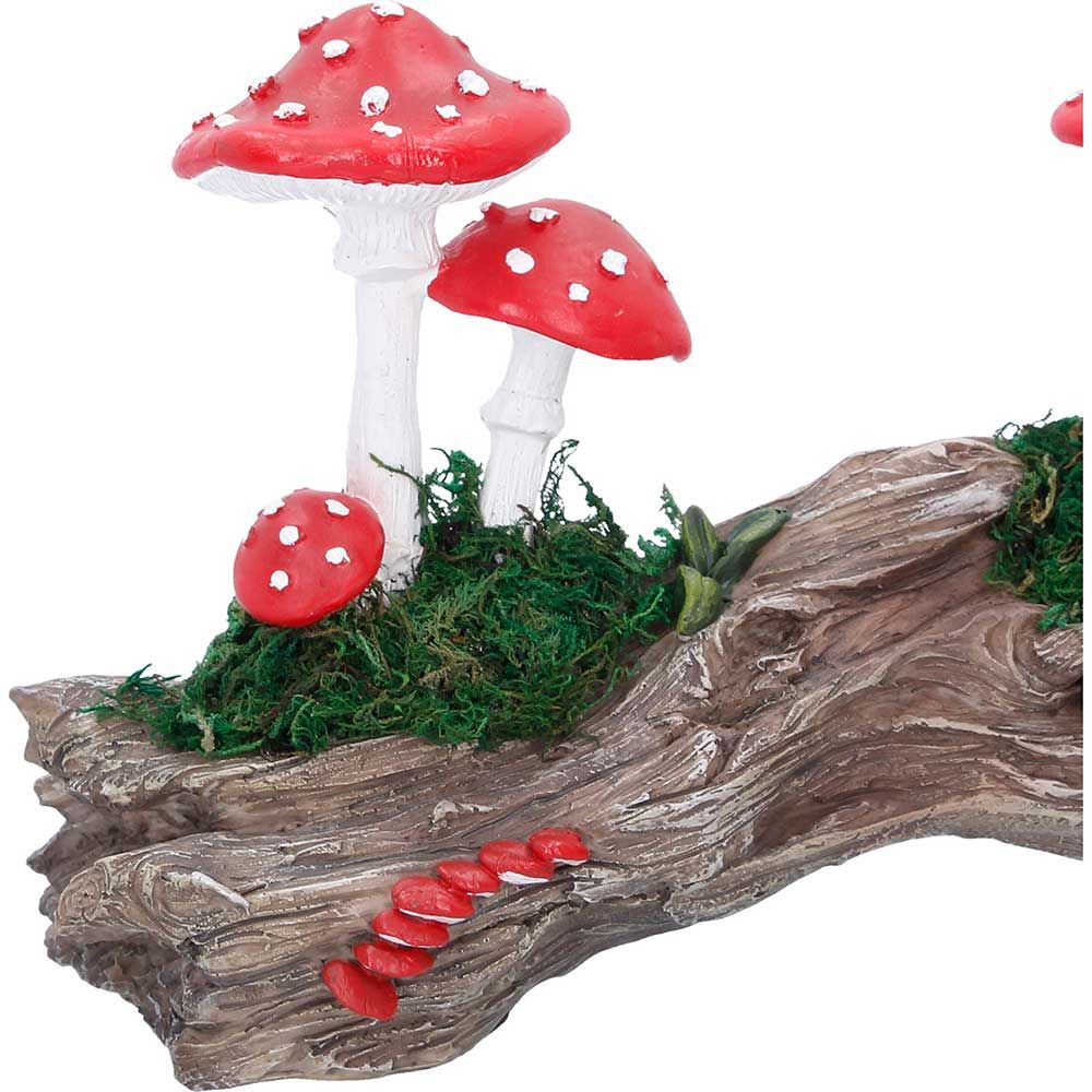 Toadstool Trunk