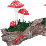 Toadstool Trunk