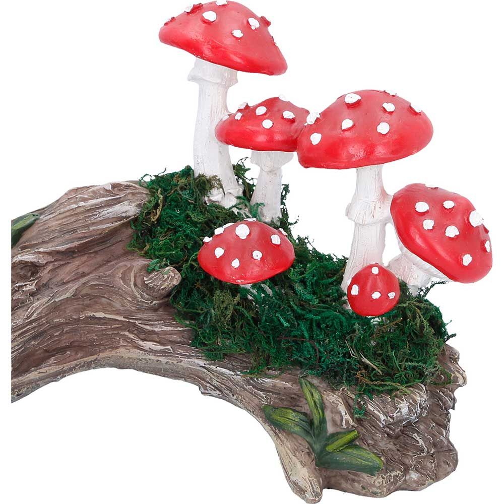 Toadstool Trunk