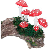 Toadstool Trunk