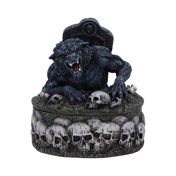 Treasures of the Lycan Dark Werewolf Trinket Box