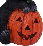 Trick or Treat Pumpkin Cat