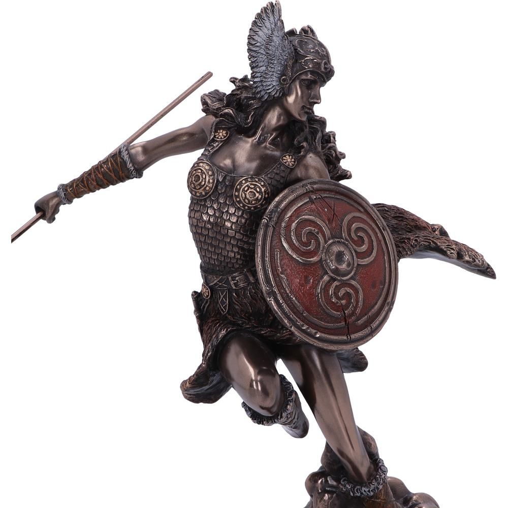 Valkyrie's Flight