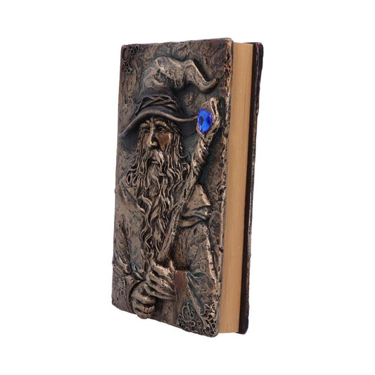 Wizard's Grimoire fantasy spellbook journal with wizard cover