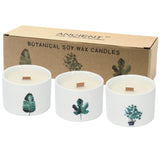 Small Botanical Candles - Mulberry Harvest