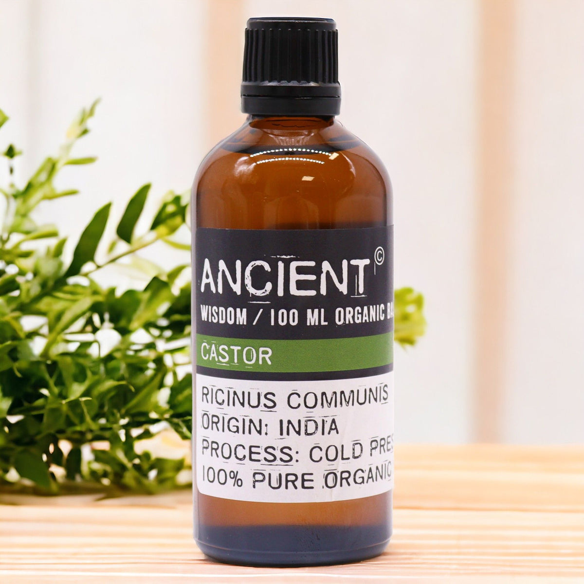 Aromatherapy Organic Base Oil 100ml - Castor Oil