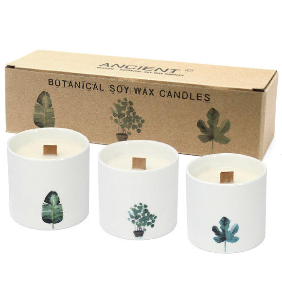 Medium Botanical Candles - Marsh Viola