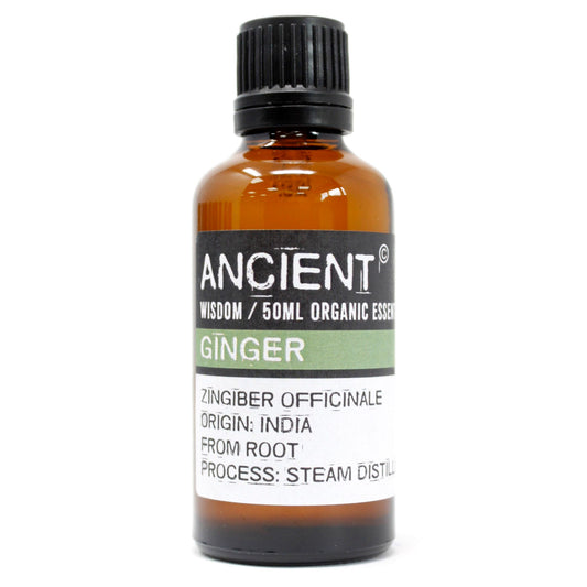 Ginger Organic Essential Oil 50ml by Ancient Wisdom